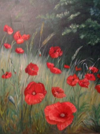 Champs de coquelicots 